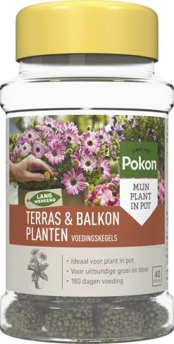 Pokon Voedingskegels Voor Terras- & Balkonplanten - 40 Stuks - 180 Dagen Voeding - Plantenvoeding