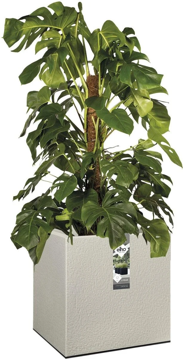 Elho Vivo Structure Finish Vierkant 40 - Plantenbak Voor Binnen & Buiten - Ø 39 X H 41 - Grijs/Warm Grijs 6 Elho Vivo Structure Finish Vierkant 40 - Plantenbak Voor Binnen & Buiten - Ø 39 X H 41 - Grijs/Warm Grijs - Afbeelding 6