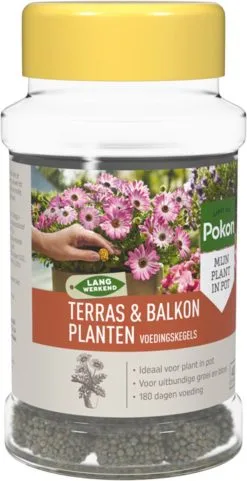 Pokon Voedingskegels Voor Terras- & Balkonplanten - 40 Stuks - 180 Dagen Voeding - Plantenvoeding -Bloempotten Verkoop 616x1200 1