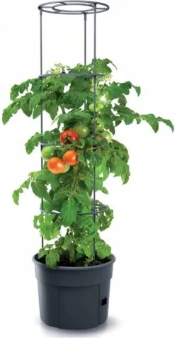 TOMATENPOT VOOR HET KWEKEN VAN TOMATEN PROSPERPLAST 28L 9 TOMATENPOT VOOR HET KWEKEN VAN TOMATEN PROSPERPLAST 28L -Bloempotten Verkoop 621x1200