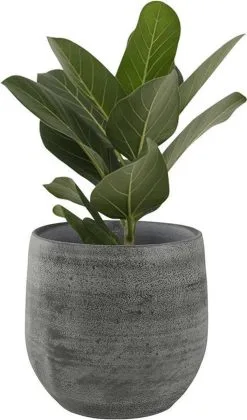 Steege Pot Esra Mystic Grey Bloempot Binnen 15 Cm 7 Steege Pot Esra Mystic Grey Bloempot Binnen 15 Cm -Bloempotten Verkoop 705x1200