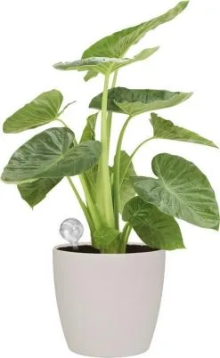 Elho Aqua Care 9 - Accessoires Voor Binnenaccessoires - Ø 17.3 X H 32.0 Cm - Transparant/Transparant -Bloempotten Verkoop 737x1200