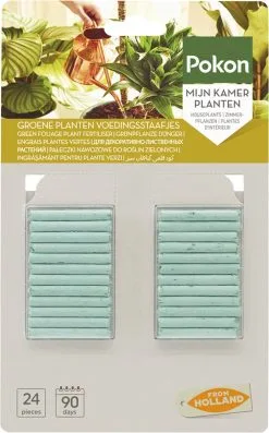 Pokon Groene Planten Voedingsstaafjes - 24st - Plantenvoeding - Meststofstaafjes