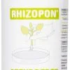 RHIZOPON CHRYZOTOP GROEN STEKPOEDER 0.25% 25 GRAM