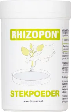 RHIZOPON CHRYZOTOP GROEN STEKPOEDER 0.25% 25 GRAM