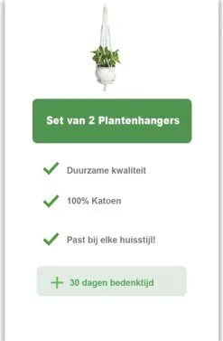 Merkloos Plantenhanger Macramé - Luxe Gevlochten Touw Katoen - 2 Stuks - Plantenpot Ophangen 13 Merkloos Plantenhanger Macramé - Luxe Gevlochten Touw Katoen - 2 Stuks - Plantenpot Ophangen -Bloempotten Verkoop 786x1200 1