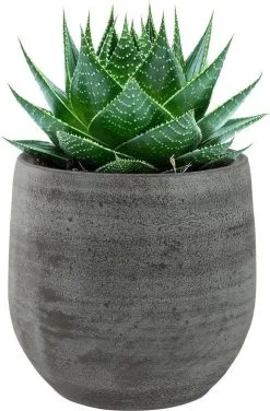 Steege Pot Esra Mystic Grey Bloempot Binnen 15 Cm 6 Steege Pot Esra Mystic Grey Bloempot Binnen 15 Cm -Bloempotten Verkoop 789x1200