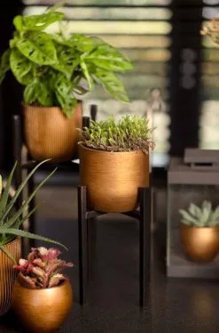 Capi Europe - Bloempot Bol Retro - 23x21 - Goud - Bloempot Voor Binnen - BRTG134 -Bloempotten Verkoop 792x1200