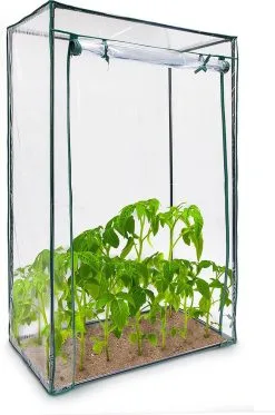 Relaxdays Tomatenkas 150x100x50 Cm - Tuinkas Tomaten - Foliekas - Serre - Kweekkas - PVC