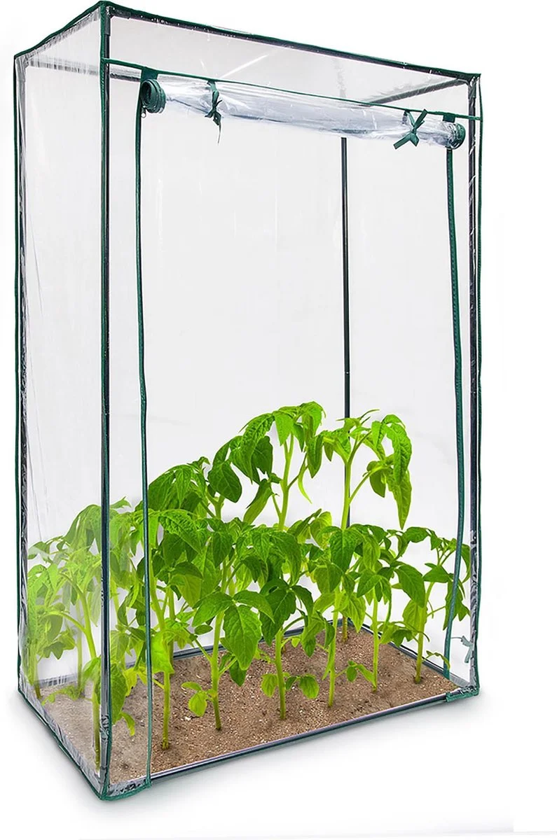 Relaxdays Tomatenkas 150x100x50 Cm - Tuinkas Tomaten - Foliekas - Serre - Kweekkas - PVC 1 Relaxdays Tomatenkas 150x100x50 Cm - Tuinkas Tomaten - Foliekas - Serre - Kweekkas - PVC
