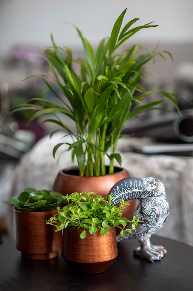 Capi Europe - Bloempot Bol Retro - 23x21 - Koper - Bloempot Voor Binnen - BRTC134 2 Capi Europe - Bloempot Bol Retro - 23x21 - Koper - Bloempot Voor Binnen - BRTC134 - Afbeelding 2