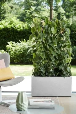 Elho Vivo Structure Finish Lang 90 - Plantenbak Voor Binnen & Buiten - Ø 88 X H 41 - Wit -Bloempotten Verkoop 800x1200 104