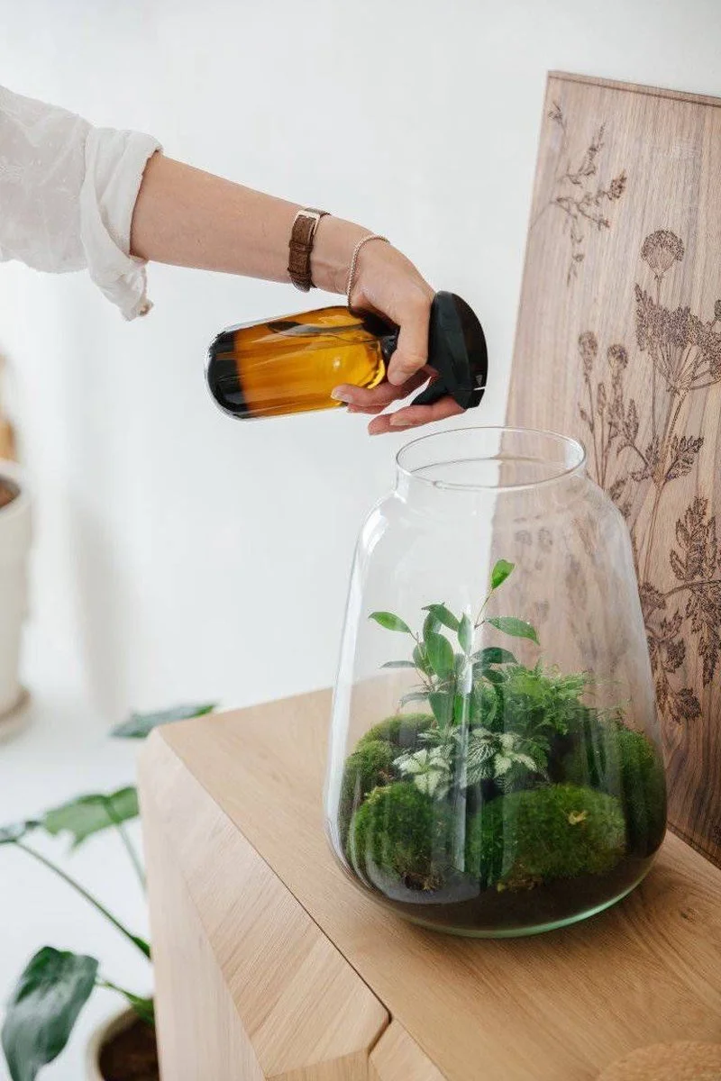 24DOTS® 24DOTS Living Plantenspuit | 500 Ml Bruin Amber Glas | Plantensproeier | Plantenspuit Binnen | Waterverstuiver | Vernevelaar 4 24DOTS® 24DOTS Living Plantenspuit | 500 Ml Bruin Amber Glas | Plantensproeier | Plantenspuit Binnen | Waterverstuiver | Vernevelaar - Afbeelding 4