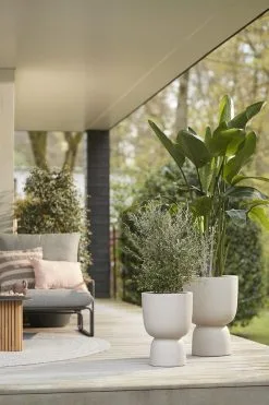 Elho Pure Coupe 35 - Bloempot Voor Binnen & Buiten - Ø 34.9 X H 49.0 Cm - Beige/Balanced Beige -Bloempotten Verkoop 800x1200 21