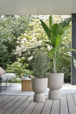 Elho Pure Coupe 35 - Bloempot Voor Binnen & Buiten - Ø 34.9 X H 49.0 Cm - Beige/Balanced Beige -Bloempotten Verkoop 800x1200 22