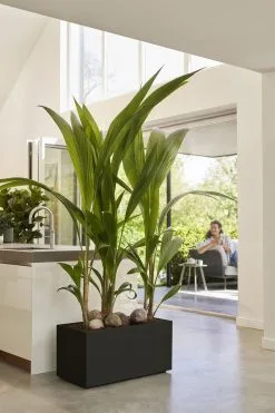 Elho Vivo Next Lang 60 - Bloempot Voor Binnen & Buiten - Ø 59.0 X H 29.2 Cm - Zwart/Living Black 23 Elho Vivo Next Lang 60 - Bloempot Voor Binnen & Buiten - Ø 59.0 X H 29.2 Cm - Zwart/Living Black -Bloempotten Verkoop 800x1200 38