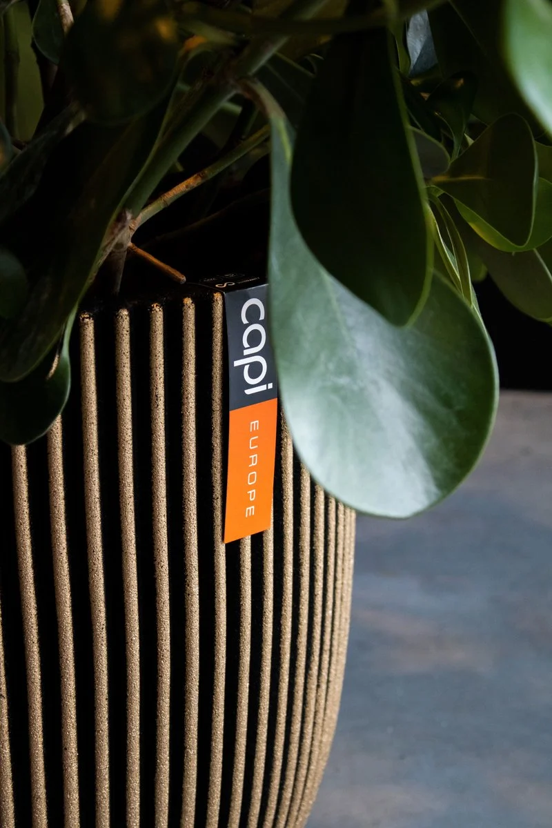 Capi Europe - Bloempot Bol Groove NL - 35x34 - Goud - Voor Binnen En Buiten - KGVGB932 4 Capi Europe - Bloempot Bol Groove NL - 35x34 - Goud - Voor Binnen En Buiten - KGVGB932 - Afbeelding 4