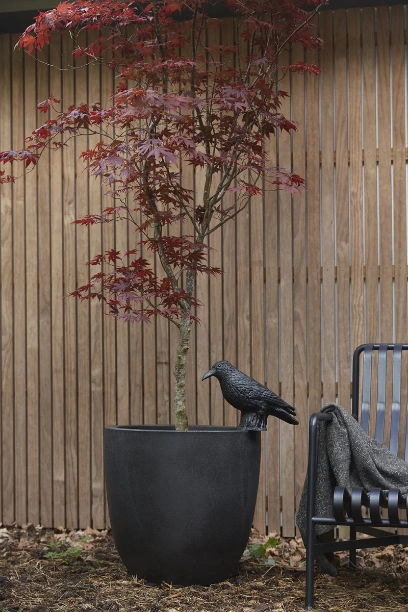 Capi Europe - Bloempot Bol Smooth NL - 43x41 - Zwart - Voor Binnen En Buiten - KBL933 10 Capi Europe - Bloempot Bol Smooth NL - 43x41 - Zwart - Voor Binnen En Buiten - KBL933 - Afbeelding 10