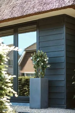 Capi Europe - Bloempot Rechthoek Smooth NL - 36x36x79 - Zwart - Voor Binnen En Buiten - KBL952 21 Capi Europe - Bloempot Rechthoek Smooth NL - 36x36x79 - Zwart - Voor Binnen En Buiten - KBL952 -Bloempotten Verkoop 800x1200 43