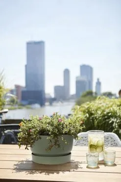 Elho Greenville Schaal 33 - Bloempot Voor Buiten - Ø 32.5 X H 19.4 Cm - Groen/Blad Groen 10 Elho Greenville Schaal 33 - Bloempot Voor Buiten - Ø 32.5 X H 19.4 Cm - Groen/Blad Groen -Bloempotten Verkoop 800x1200 55