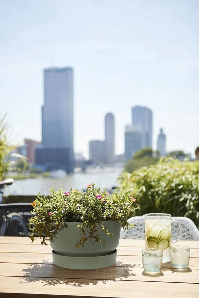 Elho Greenville Schaal 33 - Bloempot Voor Buiten - Ø 32.5 X H 19.4 Cm - Groen/Blad Groen 4 Elho Greenville Schaal 33 - Bloempot Voor Buiten - Ø 32.5 X H 19.4 Cm - Groen/Blad Groen - Afbeelding 4