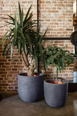 Capi Europe - Bloempot Bol Rib NL - 35x34 - Ivoor - Voor Binnen En Buiten - KOFI932 -Bloempotten Verkoop 800x1200 67