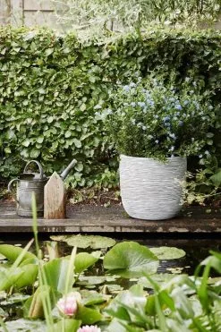 Capi Europe - Bloempot Bol Rib NL - 35x34 - Ivoor - Voor Binnen En Buiten - KOFI932 -Bloempotten Verkoop 800x1200 69