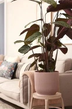 Elho Vibes Fold Rond Wielen 35 - Bloempot Voor Binnen - Ø 34.9 X H 32.4 Cm - Delicaat Roze -Bloempotten Verkoop 800x1200 72