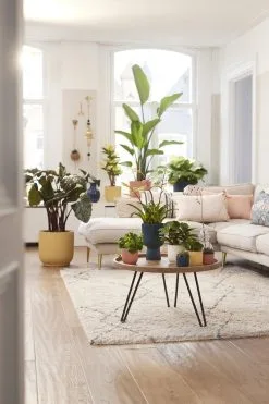 Elho Vibes Fold Rond Wielen 35 - Bloempot Voor Binnen - Ø 34.9 X H 32.4 Cm - Delicaat Roze -Bloempotten Verkoop 800x1200 73