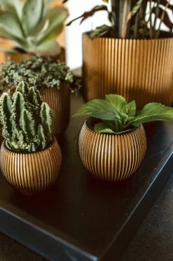 Capi Europe - Vaas Bol Groove XL - 39x33 - Goud - Bloempot Voor Binnen - Opening ⌀24 - GVGB270 -Bloempotten Verkoop 800x1200 74