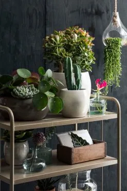 Mica Decorations Lester Bloempot - H22 X Ø24 Cm - Terracotta - Groen 7 Mica Decorations Lester Bloempot - H22 X Ø24 Cm - Terracotta - Groen -Bloempotten Verkoop 800x1200 76