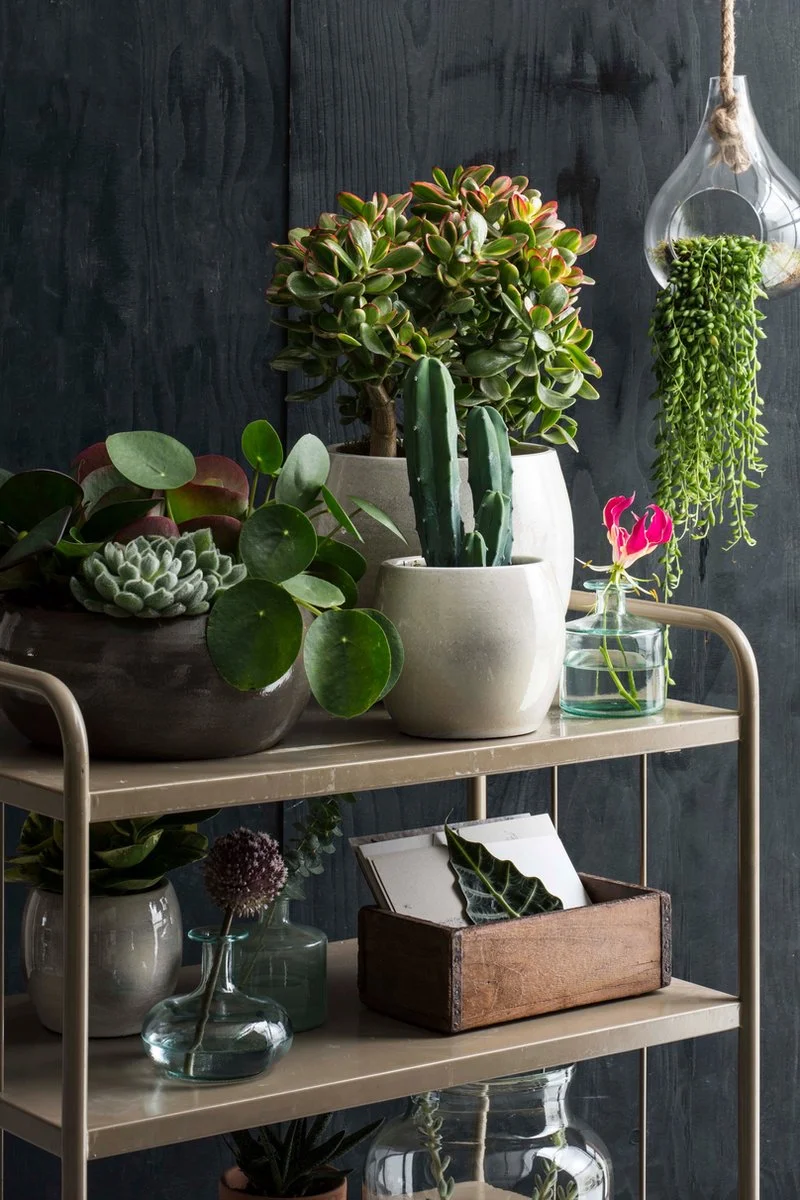 Mica Decorations Lester Bloempot - H22 X Ø24 Cm - Terracotta - Groen 4 Mica Decorations Lester Bloempot - H22 X Ø24 Cm - Terracotta - Groen - Afbeelding 4