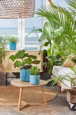 Elho The Ocean Collection Round 22cm - Bloempot Voor Binnen - 100% Gerecycled Materiaal - Gemaakt Met Zeeafval - Ø 22.3 X H 20.4 Cm - Atlantisch Blauw 14 Elho The Ocean Collection Round 22cm - Bloempot Voor Binnen - 100% Gerecycled Materiaal - Gemaakt Met Zeeafval - Ø 22.3 X H 20.4 Cm - Atlantisch Blauw -Bloempotten Verkoop 800x1200 84