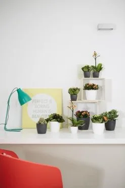 Elho B.for Soft Rond 35 - Bloempot Voor Binnen - Ø 34.5 X H 32.3 Cm - Antraciet -Bloempotten Verkoop 800x1200 88