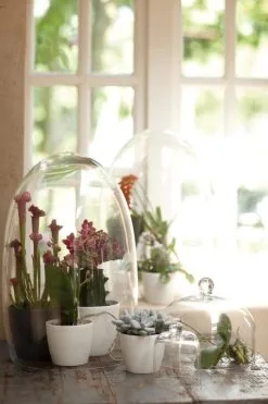 Elho B.for Soft Rond 35 - Bloempot Voor Binnen - Ø 34.5 X H 32.3 Cm - Antraciet -Bloempotten Verkoop 800x1200 89