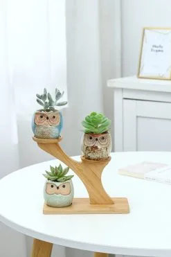 PlantCerra Luxe Bamboe Houten Boom Met 3 Keramiek Uil Bloempotten/Plantenpotten Op Standaard/Voet Voor Binnen En Buiten - Modern Design Bloempot/Plantenpot Op Poten/Pootjes-Plantenbak Mini Cactus Nep Plant Pot Houder - Kleine Bloembakken Plantenrek/Plantenkurk -Bloempotten Verkoop 800x1200 96