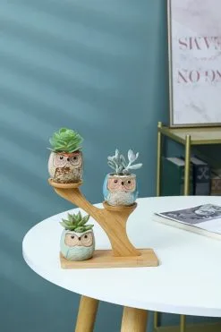 PlantCerra Luxe Bamboe Houten Boom Met 3 Keramiek Uil Bloempotten/Plantenpotten Op Standaard/Voet Voor Binnen En Buiten - Modern Design Bloempot/Plantenpot Op Poten/Pootjes-Plantenbak Mini Cactus Nep Plant Pot Houder - Kleine Bloembakken Plantenrek/Plantenkurk -Bloempotten Verkoop 800x1200 97