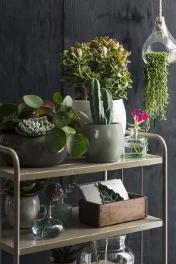 Mica Decorations Lester Bloempot - H31 X Ø33 Cm - Terracotta - Groen -Bloempotten Verkoop 801x1200 2