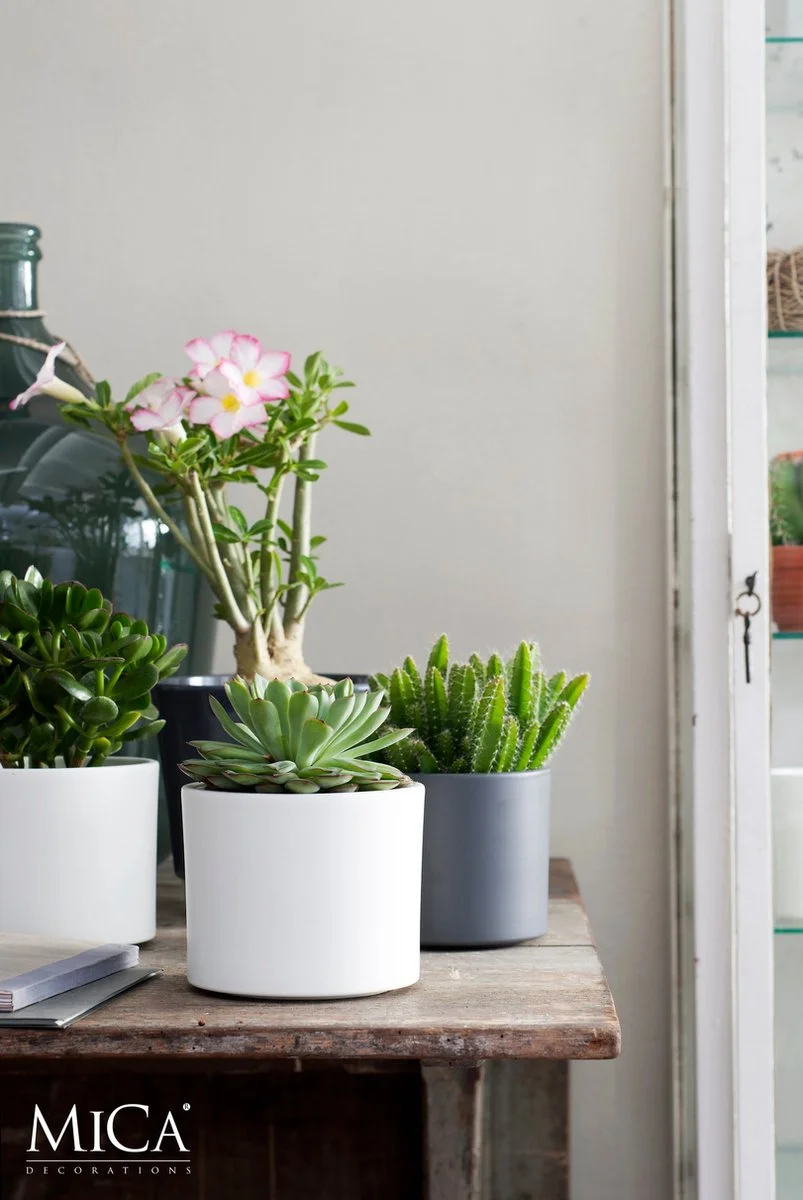 Mica Decorations Era Bloempot - H26 X Ø28 Cm - Wit 6 Mica Decorations Era Bloempot - H26 X Ø28 Cm - Wit - Afbeelding 6