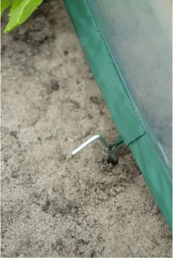 Nature - Tuinbroeikas Pop-up - 100 X 100 X 100cm - Vierkante Meter Tuin 18 Nature - Tuinbroeikas Pop-up - 100 X 100 X 100cm - Vierkante Meter Tuin -Bloempotten Verkoop 803x1200 5