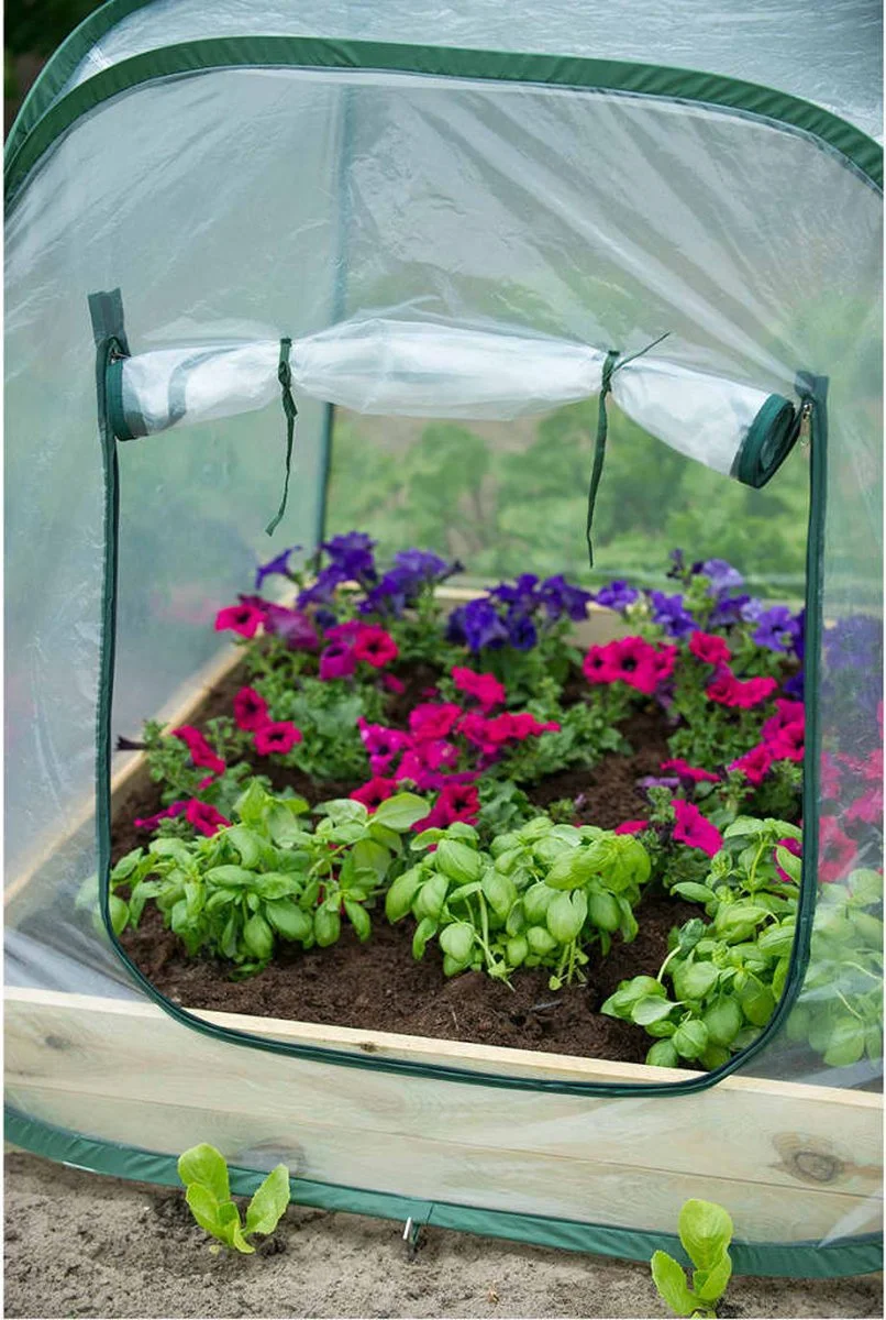 Nature - Tuinbroeikas Pop-up - 100 X 100 X 100cm - Vierkante Meter Tuin 4 Nature - Tuinbroeikas Pop-up - 100 X 100 X 100cm - Vierkante Meter Tuin - Afbeelding 4