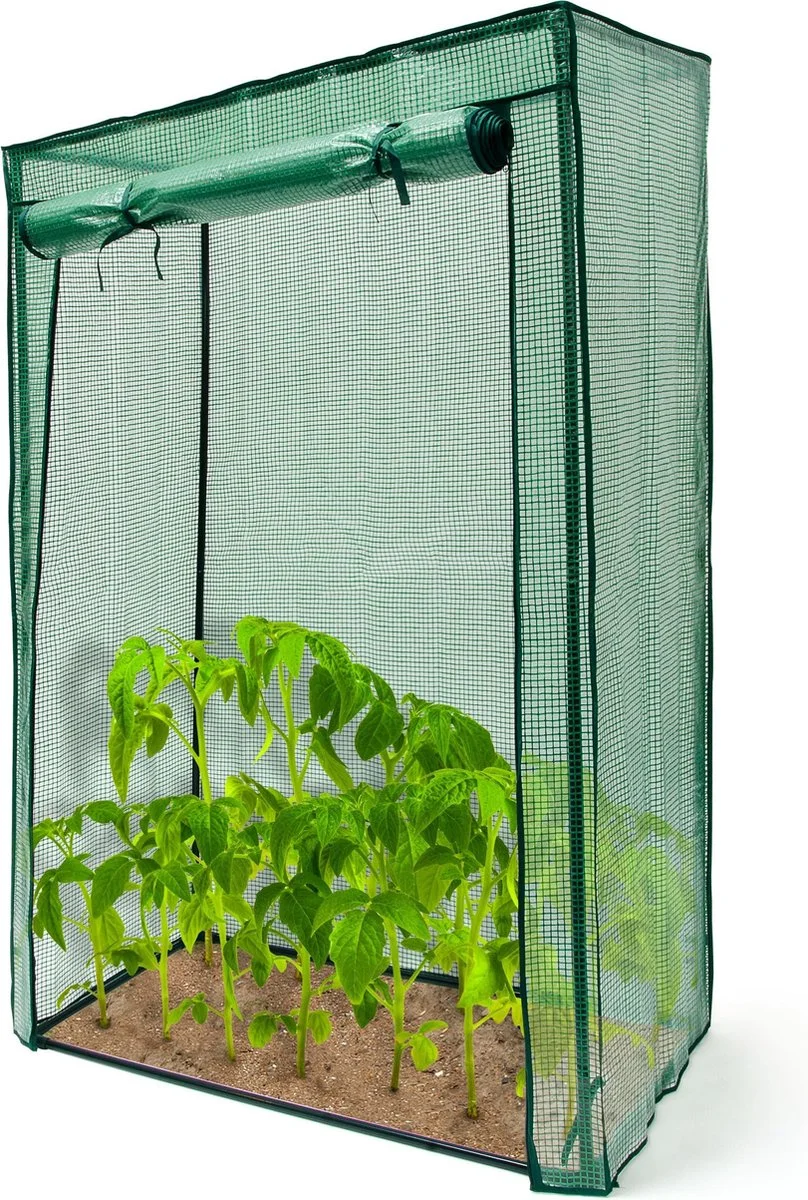 Relaxdays Tomatenkas 150x100x50 Cm - Tuinkas Tomaten - Foliekas - Serre - Kweekkas - PVC 14 Relaxdays Tomatenkas 150x100x50 Cm - Tuinkas Tomaten - Foliekas - Serre - Kweekkas - PVC - Afbeelding 14