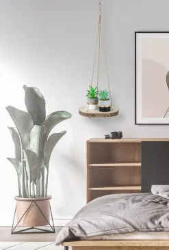 Mycramé Set Van 2 Boomstam Rond Wandrek Plantenhangers - Boho Jute Houten Plantenrek - Hangpot Voor Binnen/Buiten - Hangende Bloempot Plank - Hangplant Houder - Bohemian Macrame Stijl Wandhanger - Hangplank Plant Hanger - Planthanger - Ø Rond 25-20cm -Bloempotten Verkoop 809x1200