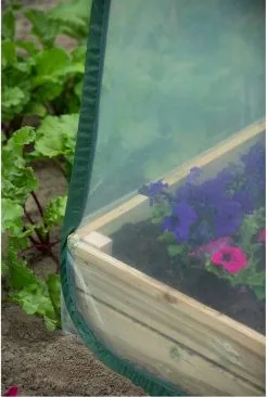 Nature - Tuinbroeikas Pop-up - 100 X 100 X 100cm - Vierkante Meter Tuin 15 Nature - Tuinbroeikas Pop-up - 100 X 100 X 100cm - Vierkante Meter Tuin -Bloempotten Verkoop 810x1200