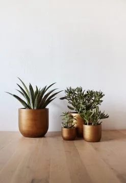 Capi Europe - Set Van 4 - Bloempot Binnen - Retro - - Goud - Bloempot Voor Binnen - BOX-BRTG-4 8 Capi Europe - Set Van 4 - Bloempot Binnen - Retro - - Goud - Bloempot Voor Binnen - BOX-BRTG-4 -Bloempotten Verkoop 829x1200