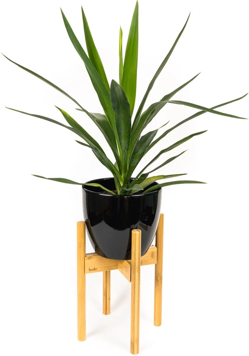 Budu Plantenstandaard Binnen – Plantenhouder – Plantenrek – Uitschuifbaar - Bloempot Standaard - Bamboe Hout - Ø 20 Tot 30 Cm 1 Budu Plantenstandaard Binnen – Plantenhouder – Plantenrek – Uitschuifbaar - Bloempot Standaard - Bamboe Hout - Ø 20 Tot 30 Cm