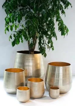 Merkloos Karakter Pot Alu Neo Gold ø40x40cm 6 Merkloos Karakter Pot Alu Neo Gold ø40x40cm -Bloempotten Verkoop 844x1200