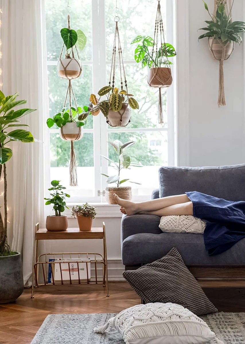 Mycramé 5 Stuks Luxe Jute Plantenhangers - Boho Handgeweven Katoen Hangpot Voor Binnen/Buiten - Hangende Bloempot Met Kralen - Macramé Touw/Koord Hangplant Houder - Bohemian Wandhanger Decoratie - Plant Hanger - Verticale Tuin Bloempothouder Planthanger 2 Mycramé 5 Stuks Luxe Jute Plantenhangers - Boho Handgeweven Katoen Hangpot Voor Binnen/Buiten - Hangende Bloempot Met Kralen - Macramé Touw/Koord Hangplant Houder - Bohemian Wandhanger Decoratie - Plant Hanger - Verticale Tuin Bloempothouder Planthanger - Afbeelding 2