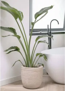 Capi Europe - Bloempot Bol Waste Rib NL - 43x41 - Terrazzo Beige - Voor Binnen En Buiten - KTBR933 -Bloempotten Verkoop 856x1200