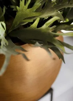 Capi Europe - Vaas Bol Retro - 30x25 - Goud - Bloempot Voor Binnen - BRTG104 -Bloempotten Verkoop 869x1200